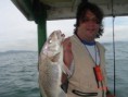 /album/guaruja%20%28praia%20do%20perequ%c3%aa%29%20alto%20mar%20-%2002-04-2011/ale-corvina-jpg/