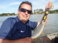 /album/castilho-sp-de-21-a-24-04-2011/piapara-renato-jpg/