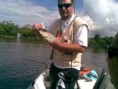 /album/pescaria-rio-itanhaem-sp-14-05-2011/ale-robalo1-jpg/