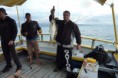 /album/s%c3%a3o%20sebasti%c3%a3o%20-%20sp%20-%2028-05-2011/ale-guavira-jpg/