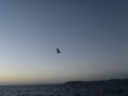 /album/pescaria-cabo-frio-arraial-do-cabo-rj-25-01-2012/p1230630-jpg/