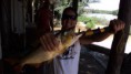 /album/pescaria-bataguassu-ms-01-03-a-04-03-2012/dsc04072-jpg/