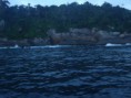 /album/pescaria-ubatuba-sp-04-04-2012/p4040617-jpg/
