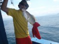/album/pescaria-ubatuba-sp-04-04-2012/p4040609-jpg/